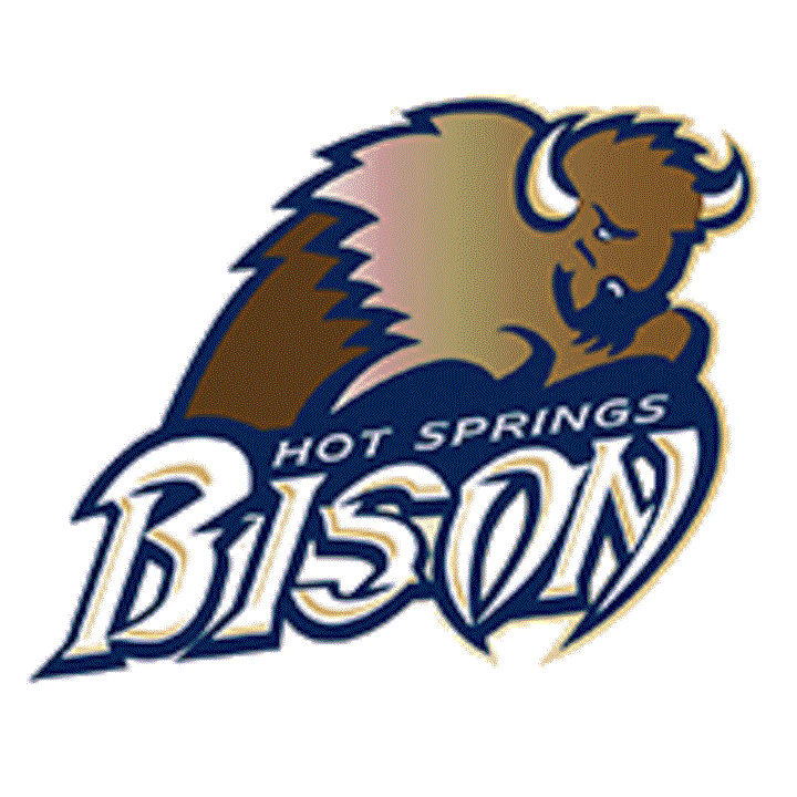 Picture of bison over the Hot Springs logo