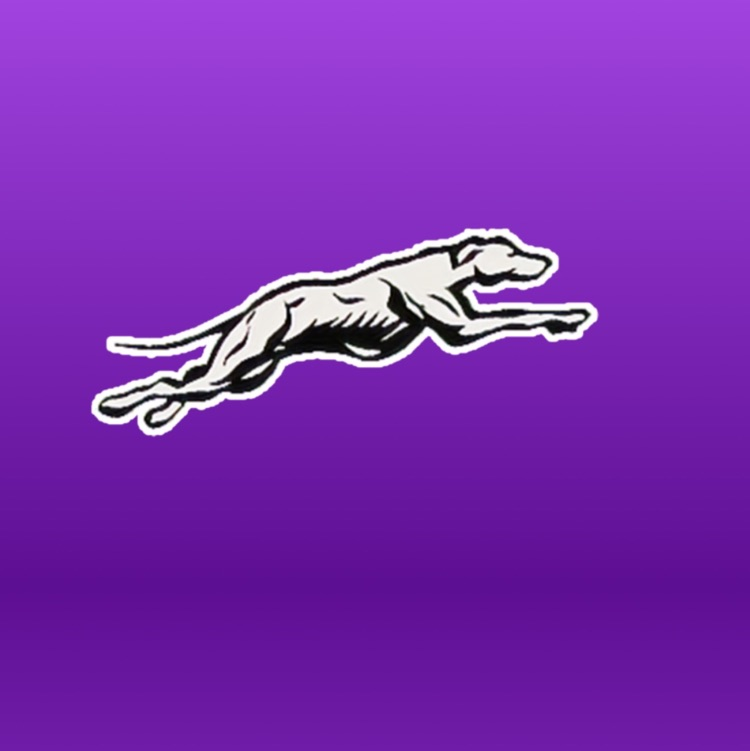 greyhound