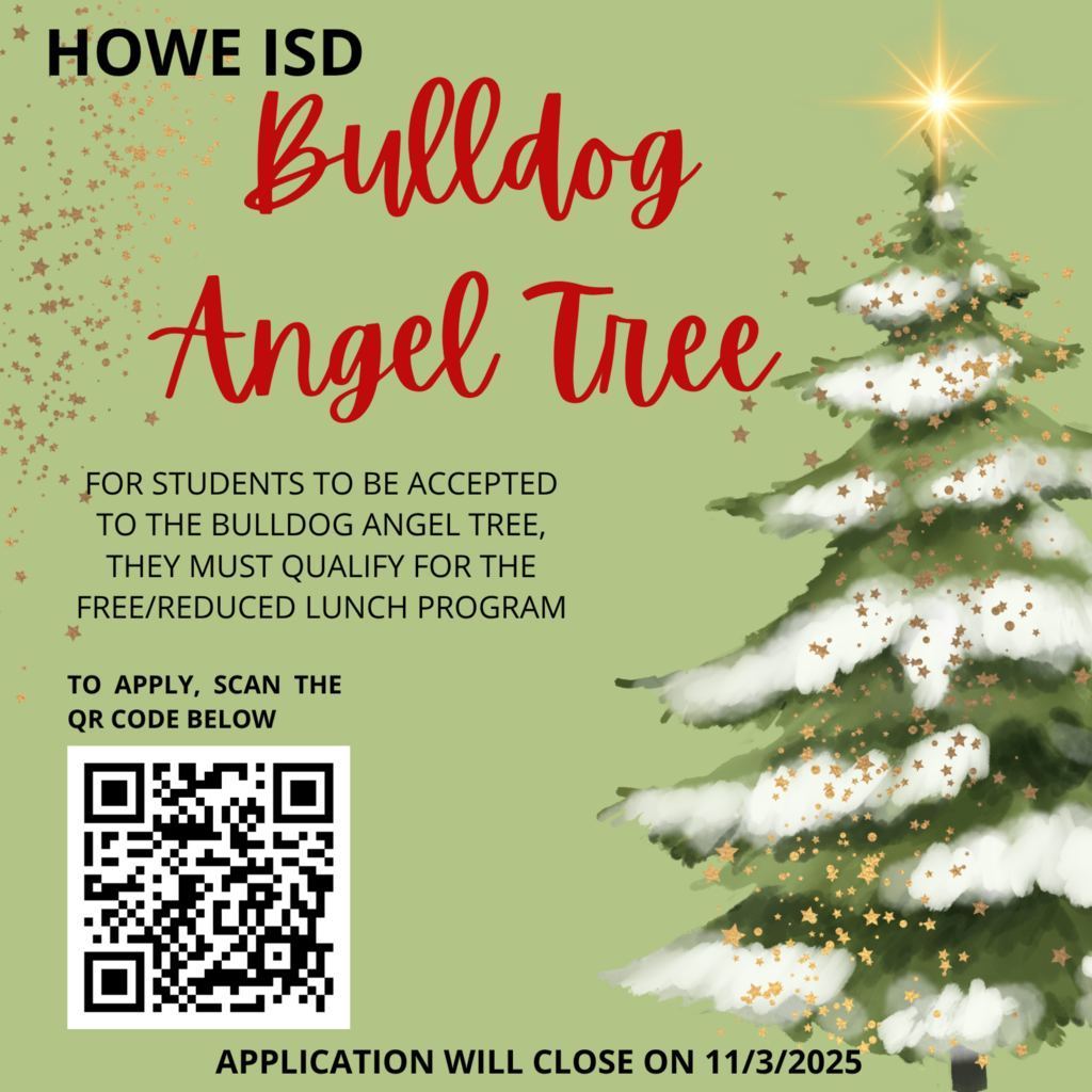 November Fly on the Wall