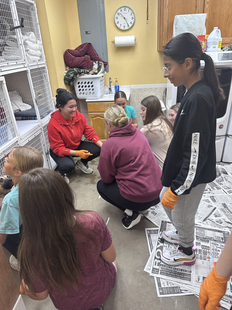 Puppy Room