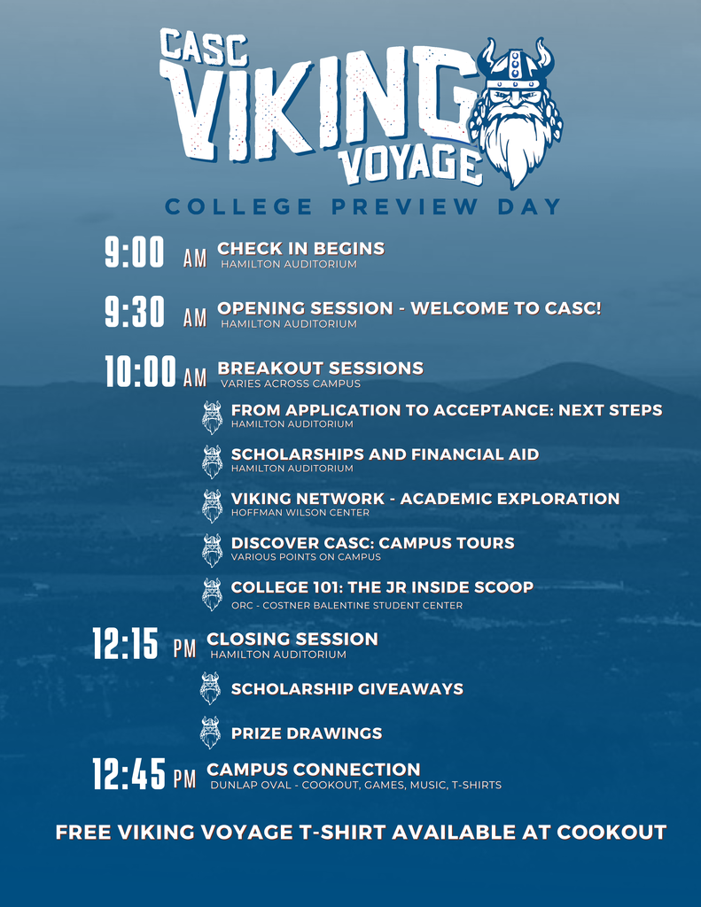 Viking Voyage