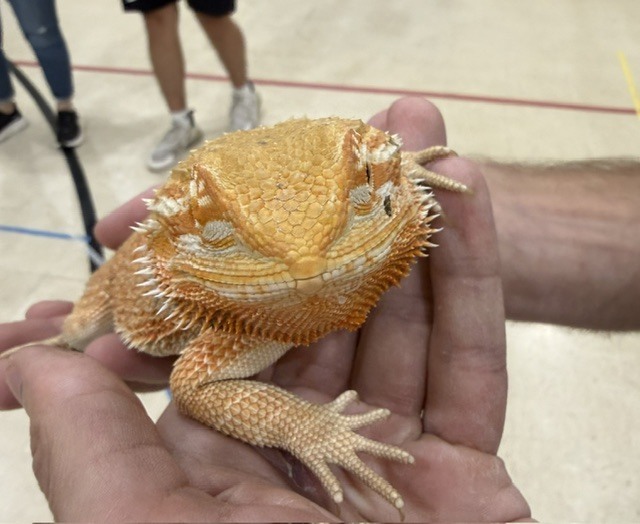 fl
