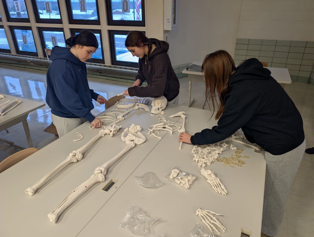 anatomy lab