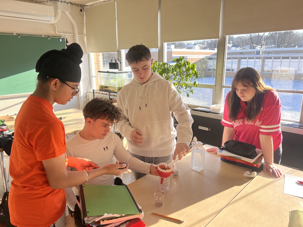 Savvy Science Day Highlights Hands-On Learning