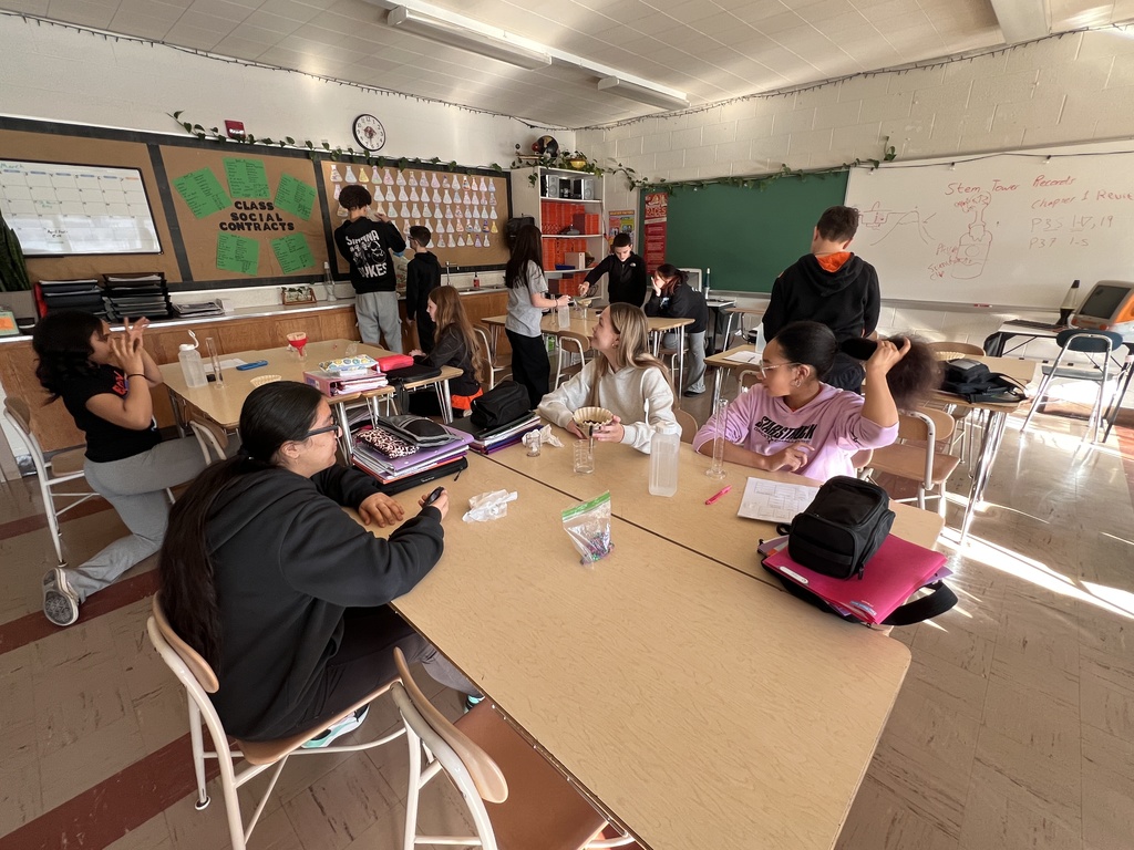 Savvy Science Day Highlights Hands-On Learning