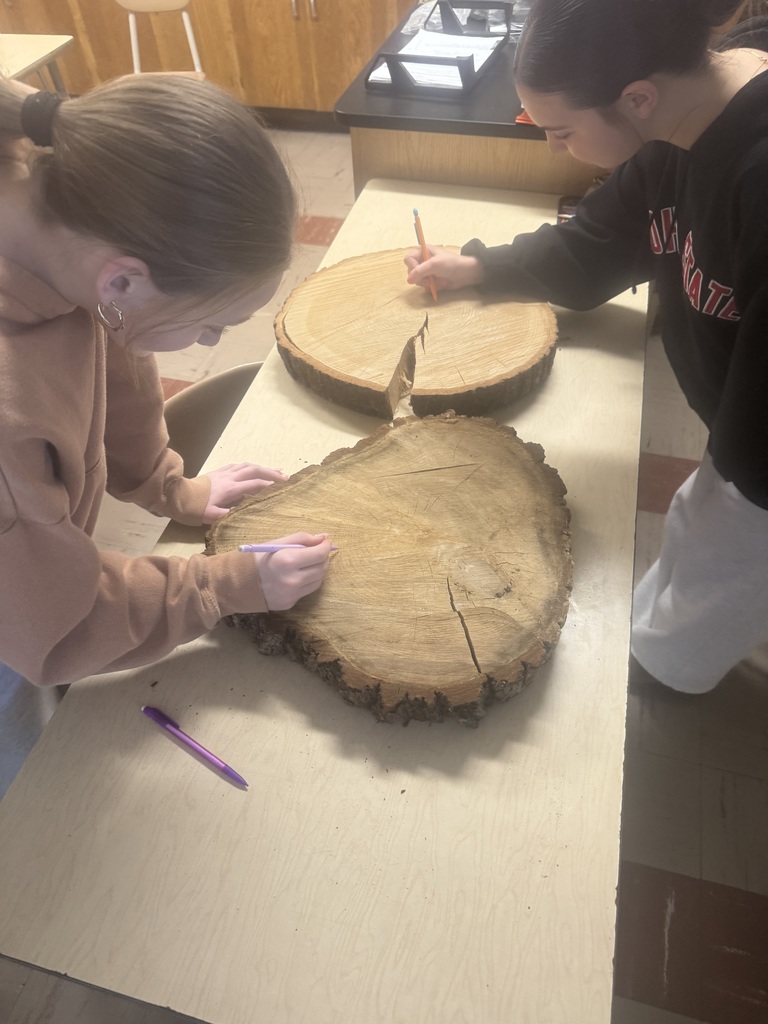 Eighth Grade Students Explore Geologic Time Students in Janice Castner’s eighth grade class at Howland Junior High studied relative dating by analyzing tree rings. The activity supported understanding of rock layers and geologic time concepts.