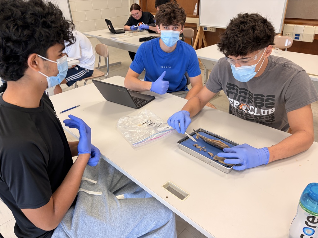Students participating in a fish dissection and anatomy identification activity