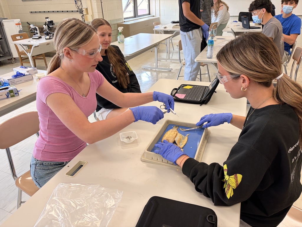 Students participating in a fish dissection and anatomy identification activity