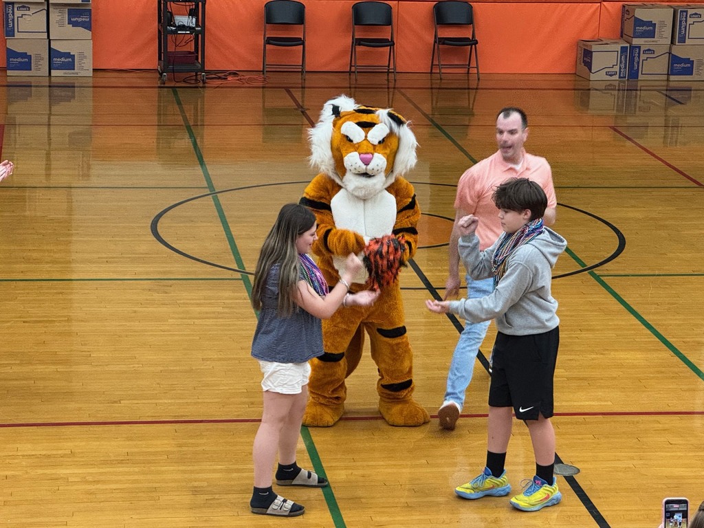 Students cheering and participating in games during a school pep assembly