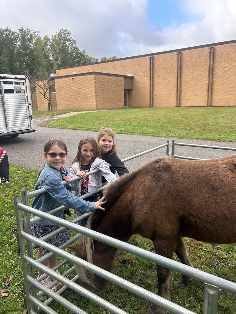 Students at Howland Springs Primary School participate in Zoo on the Go, an onsite field trip offered as part of the school's random attendance incentive days.