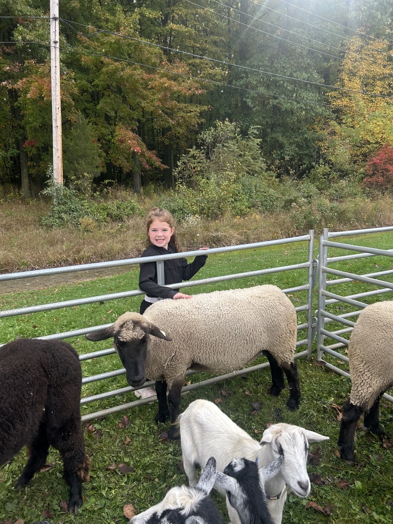 Students at Howland Springs Primary School participate in Zoo on the Go, an onsite field trip offered as part of the school's random attendance incentive days.