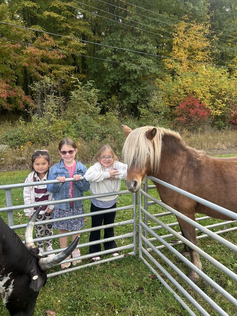 Students at Howland Springs Primary School participate in Zoo on the Go, an onsite field trip offered as part of the school's random attendance incentive days.