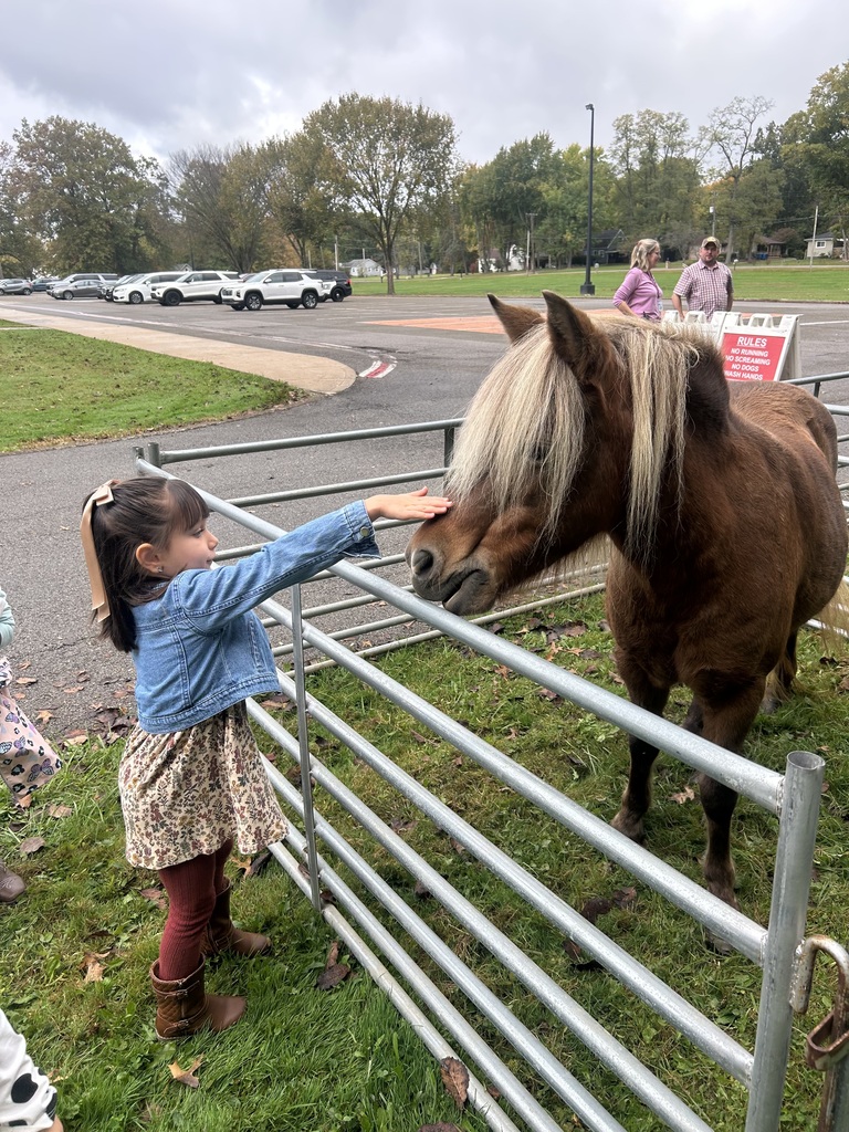 Students at Howland Springs Primary School participate in Zoo on the Go, an onsite field trip offered as part of the school's random attendance incentive days.