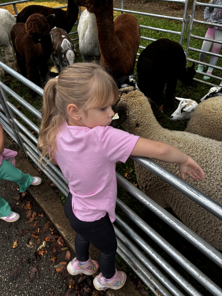 Students at Howland Springs Primary School participate in Zoo on the Go, an onsite field trip offered as part of the school's random attendance incentive days.