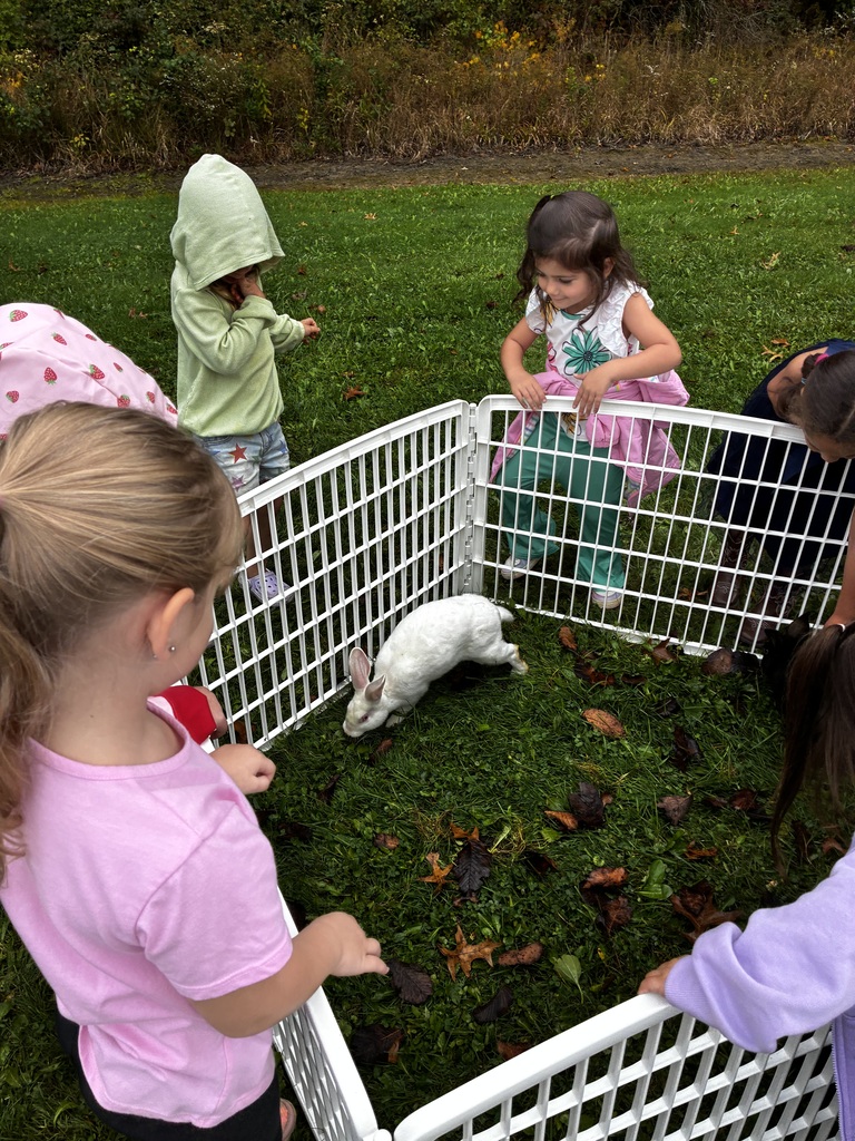 Students at Howland Springs Primary School participate in Zoo on the Go, an onsite field trip offered as part of the school's random attendance incentive days.