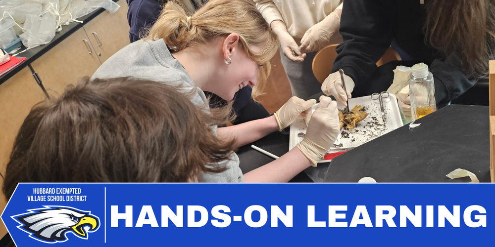hands on learning experience