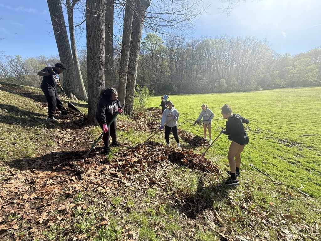 Hubbard High School seniors volunteer outdoors cleaning parks and helping community organizations during Senior Service Day.