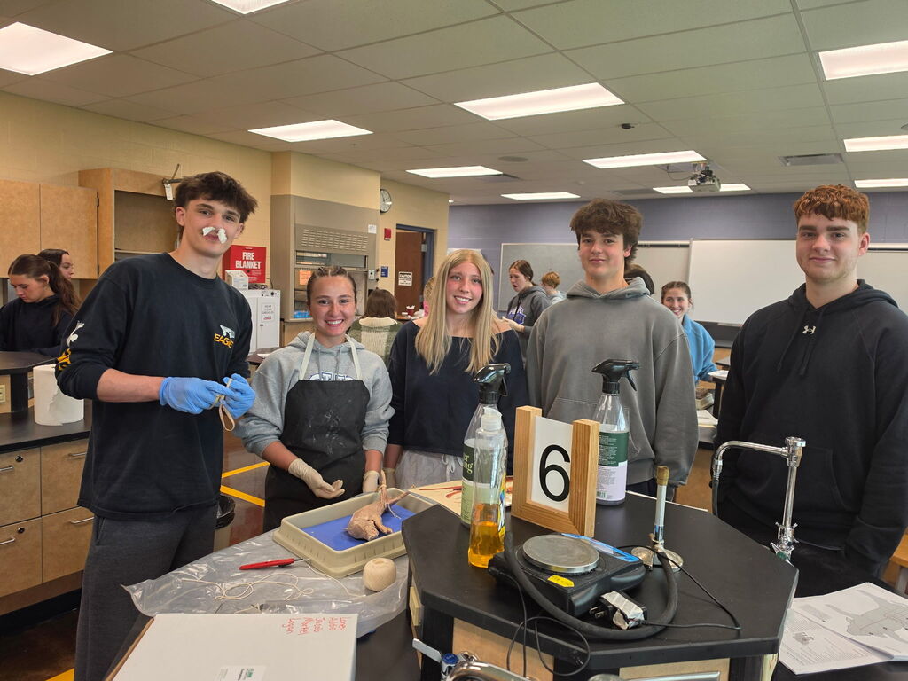 Anatomy Class Pig Dissection