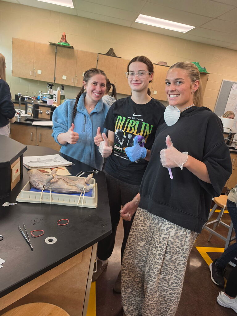 Anatomy Class Pig Dissection