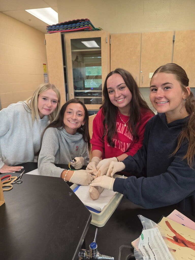 Anatomy Class Pig Dissection