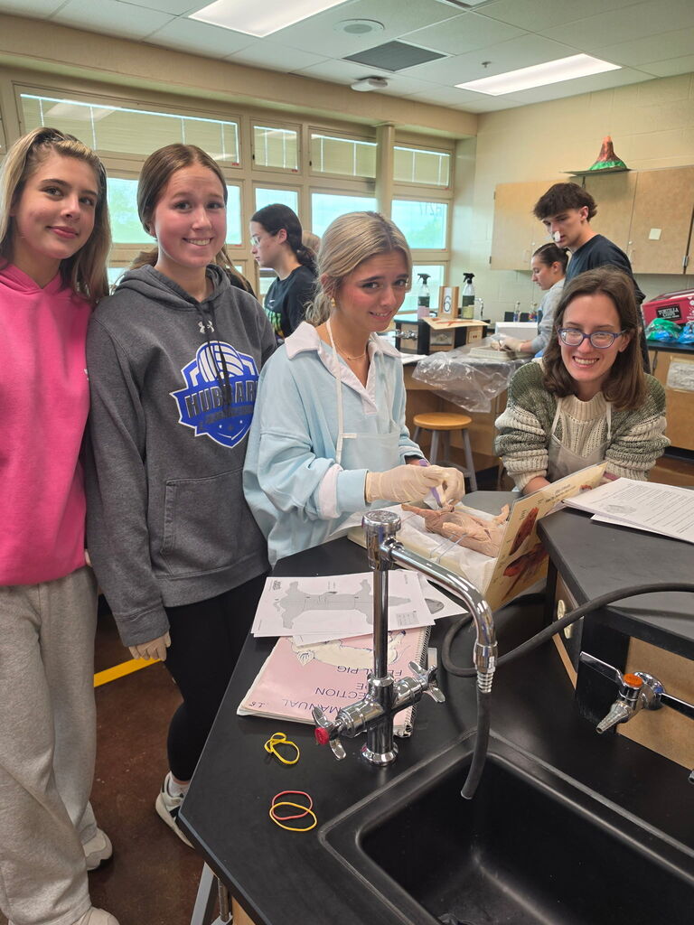 Anatomy Class Pig Dissection