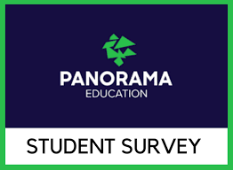 Panorama survey