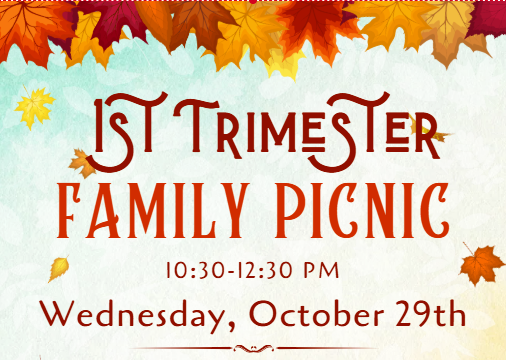 T1 picnic