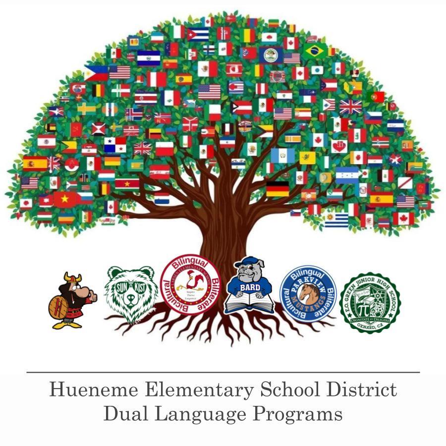 tree with international flags and the logos of schools that have DLI programs