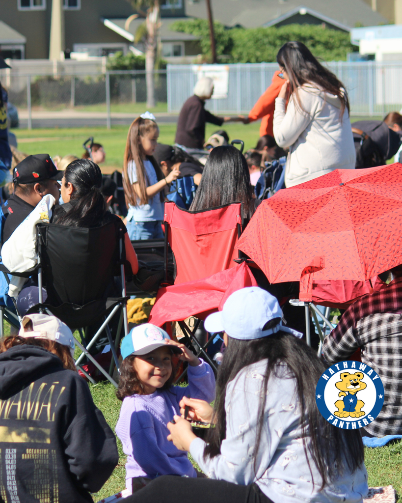 families at the picnic