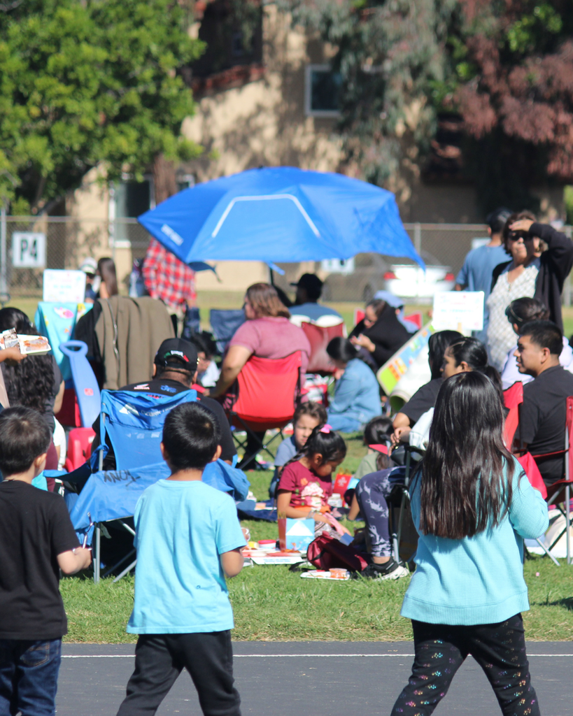families at the picnic