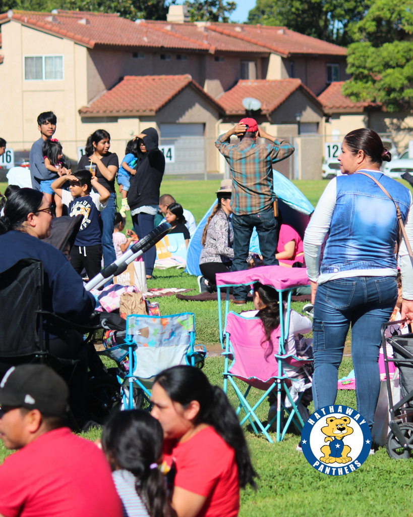 families at the picnic
