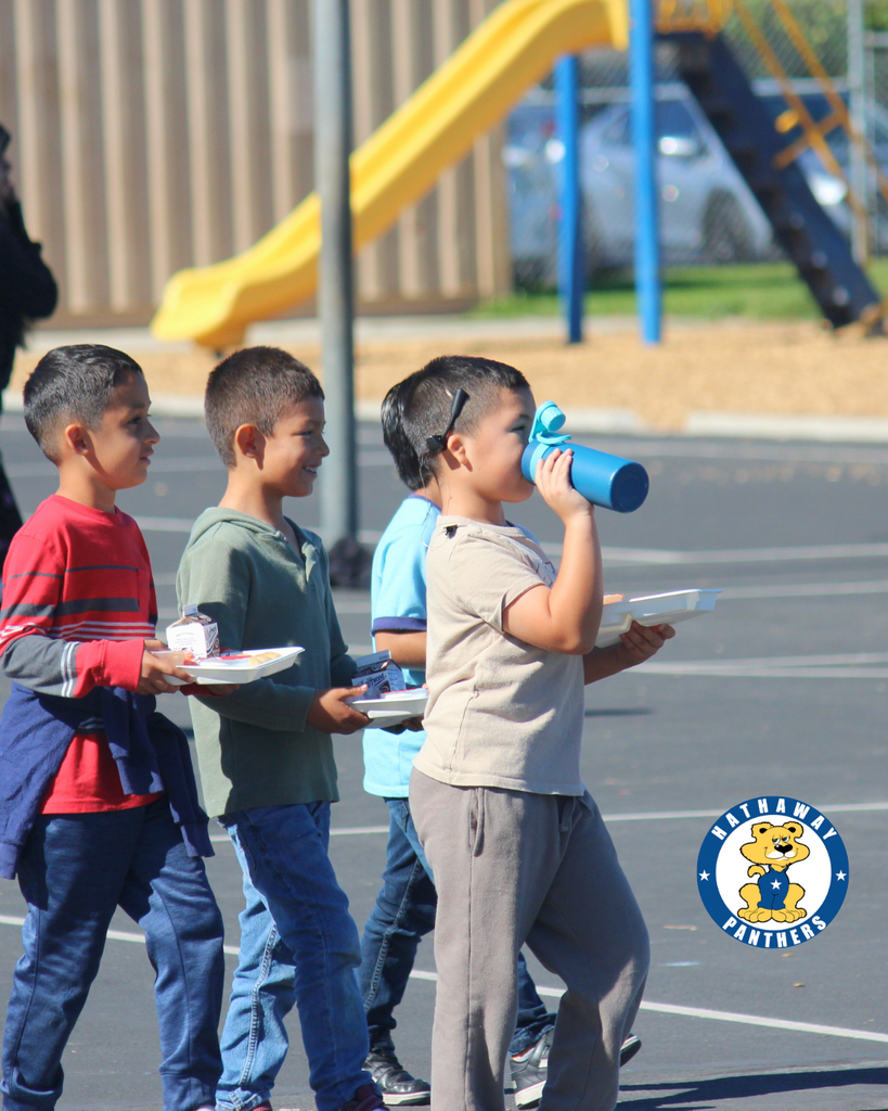 families at the picnic