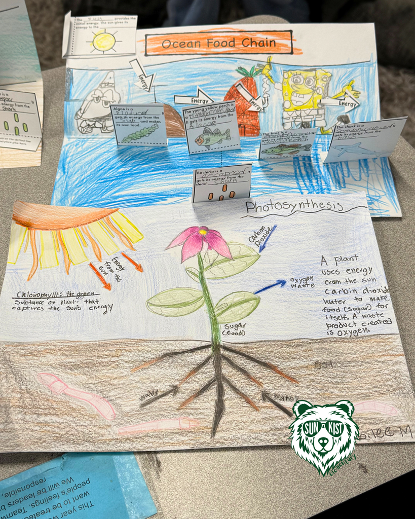 projects completed by students