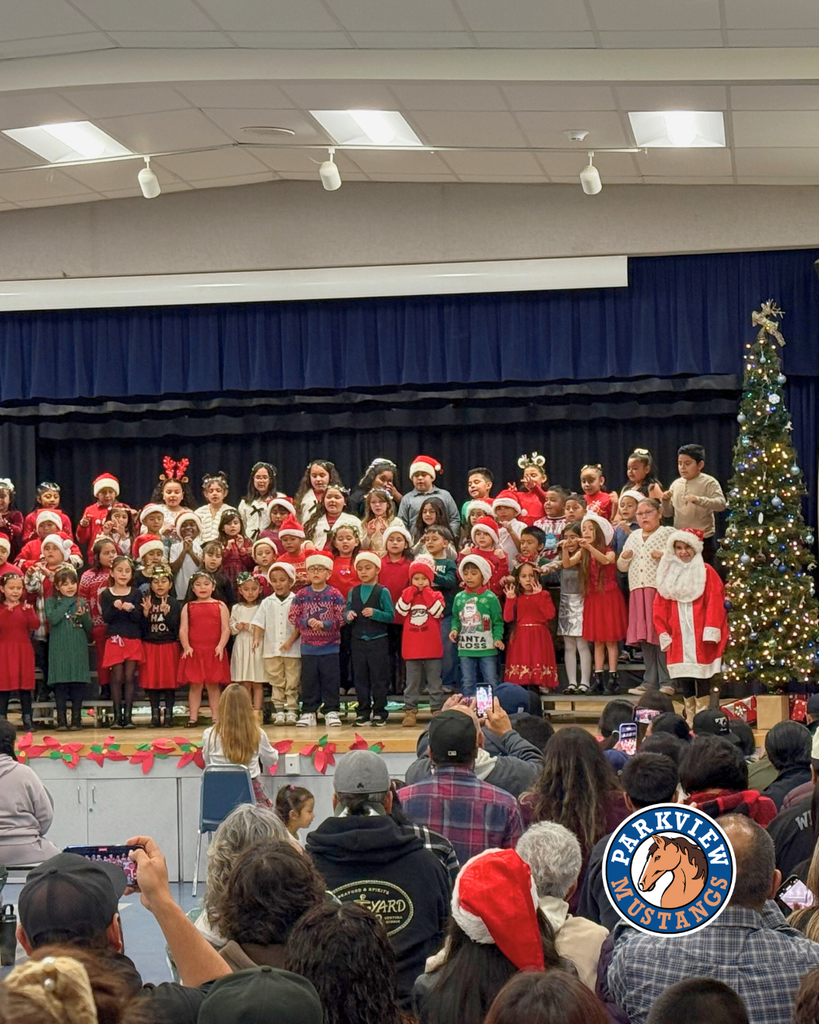 kids performing at holiday show