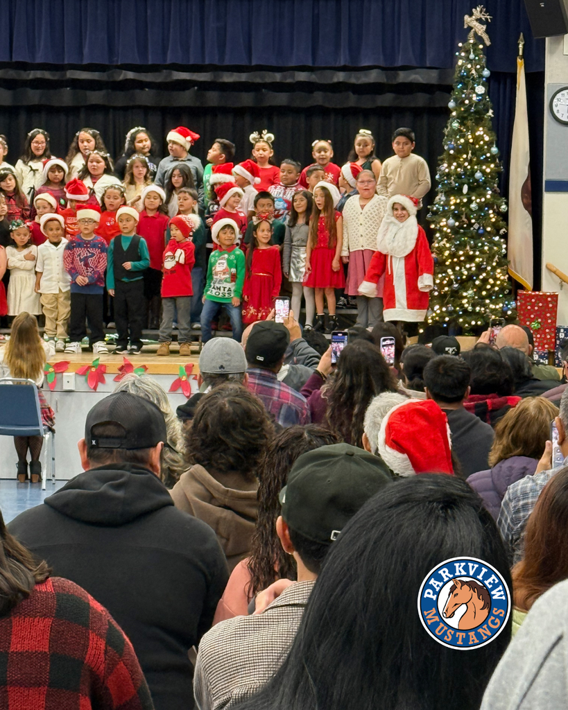 kids performing at holiday show