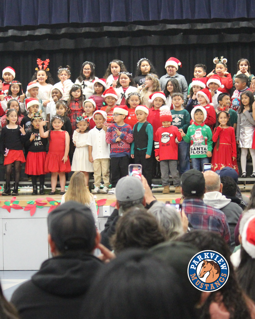 kids performing at holiday show