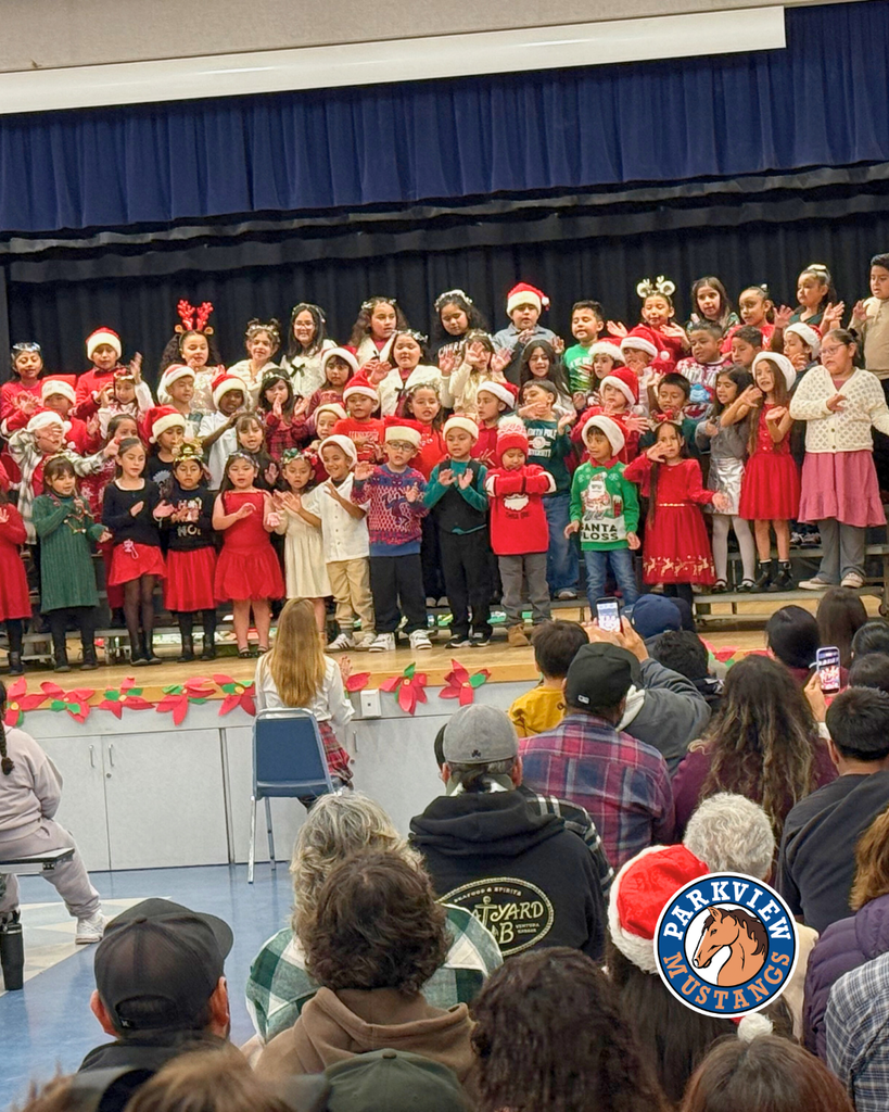 kids performing at holiday show