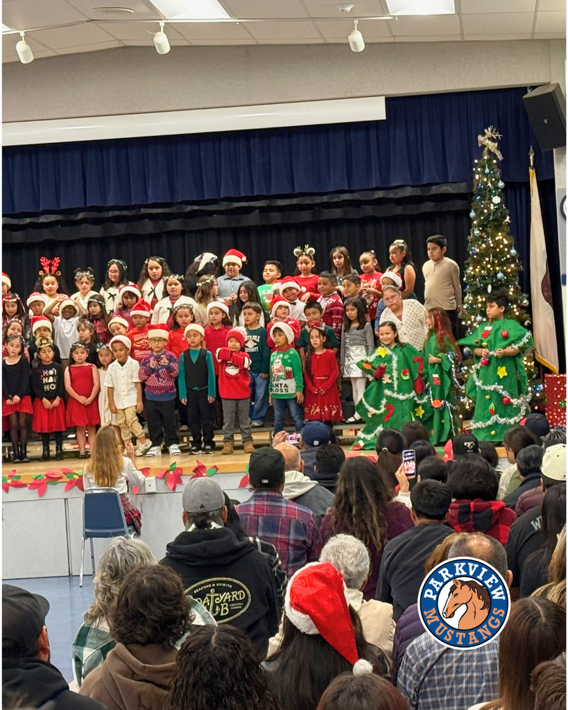 kids performing at holiday show