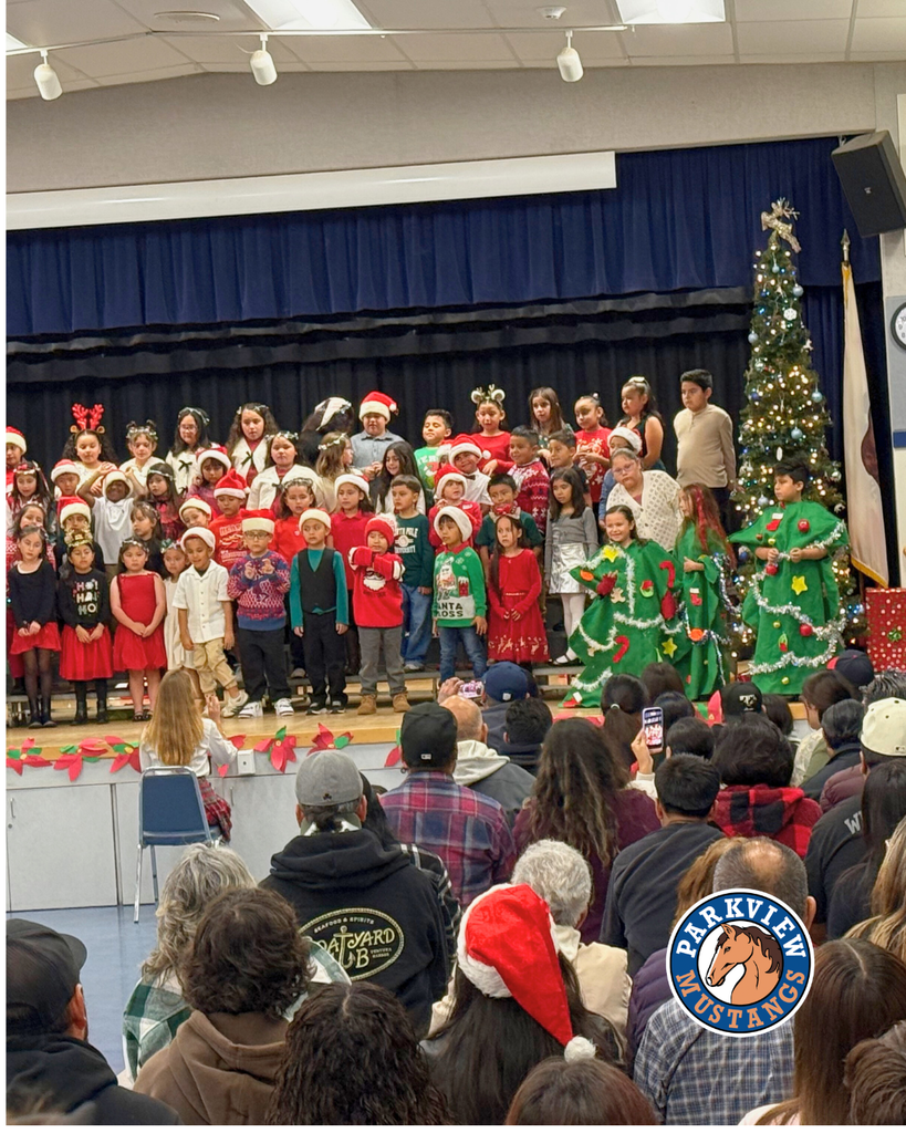 kids performing at holiday show