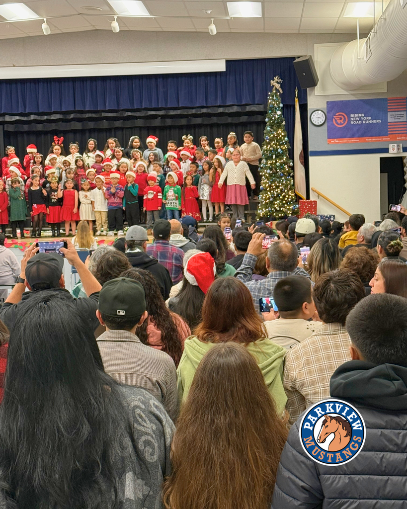 kids performing at holiday show