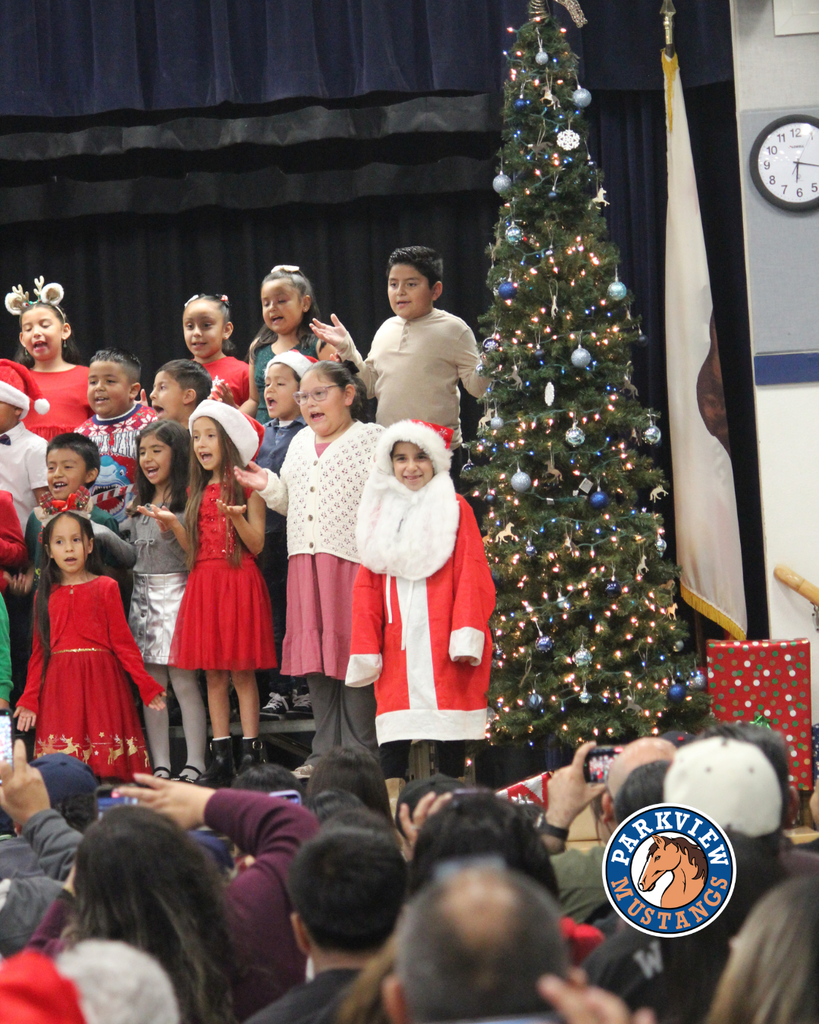 kids performing at holiday show