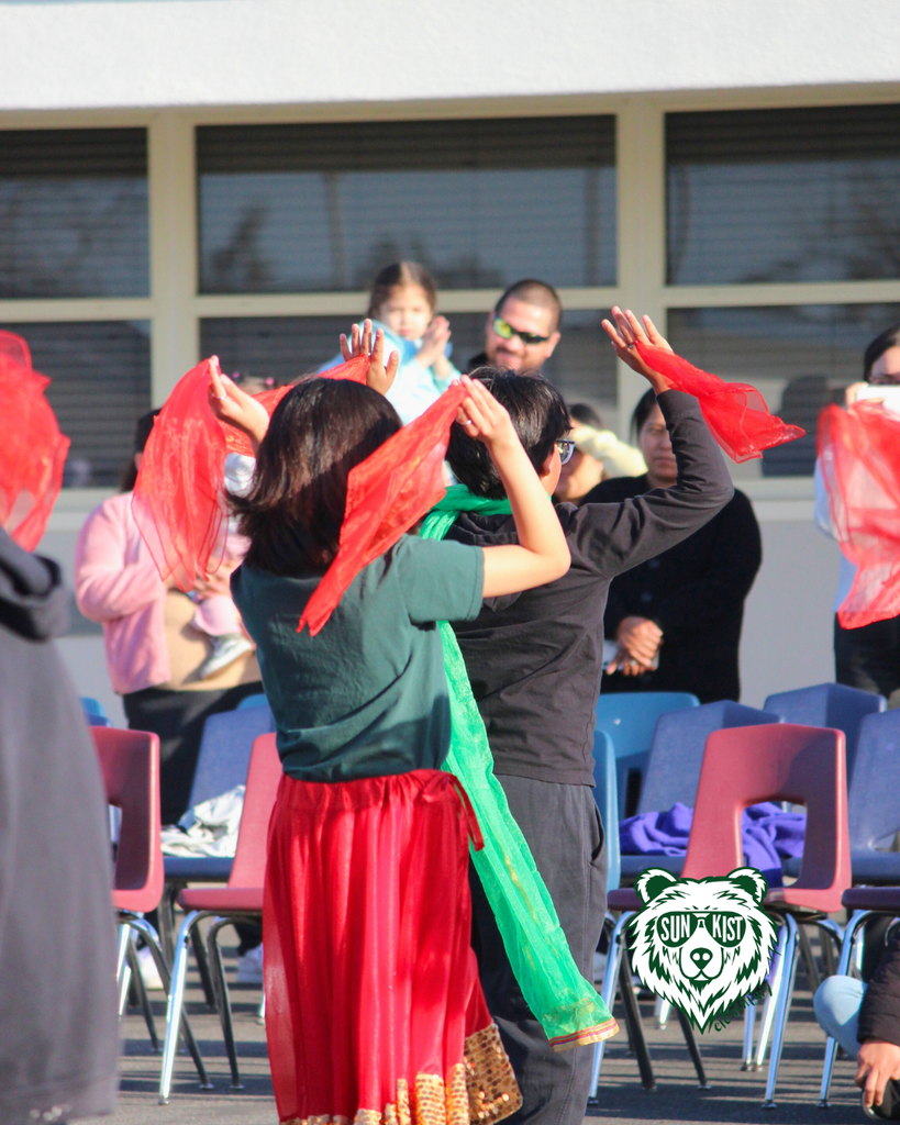 family performance, student dancing