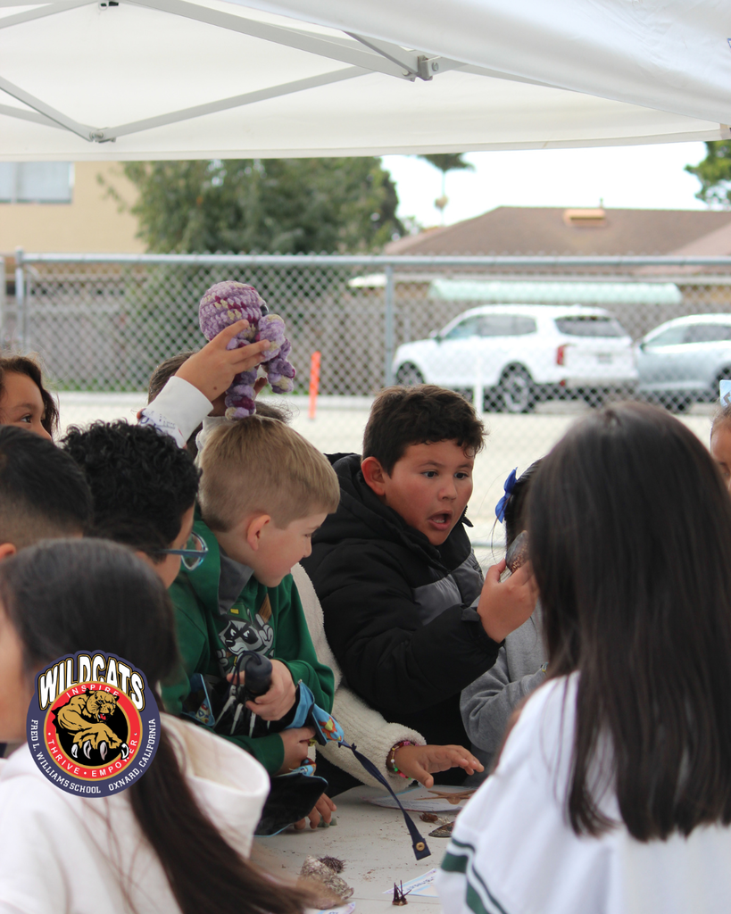 students touch and learn about shellfish for the reel guppy outdoor partnership