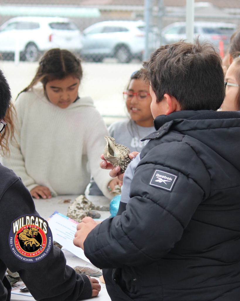 students touch and learn about shellfish for the reel guppy outdoor partnership