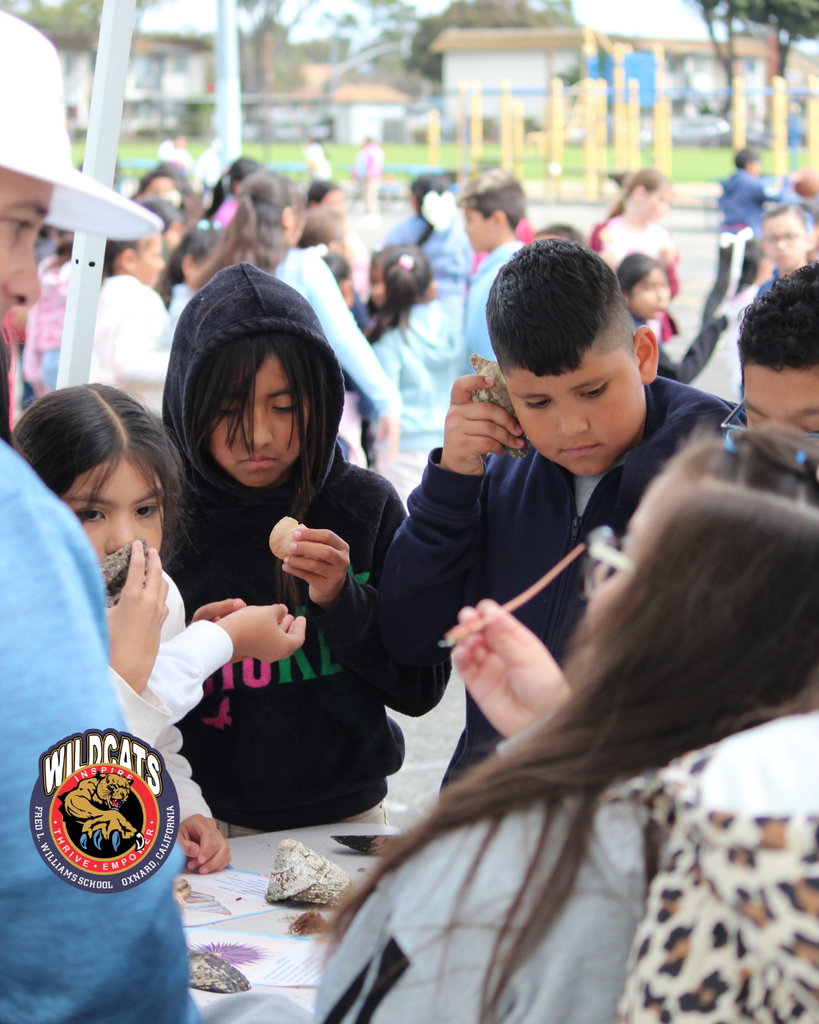 students touch and learn about shellfish for the reel guppy outdoor partnership