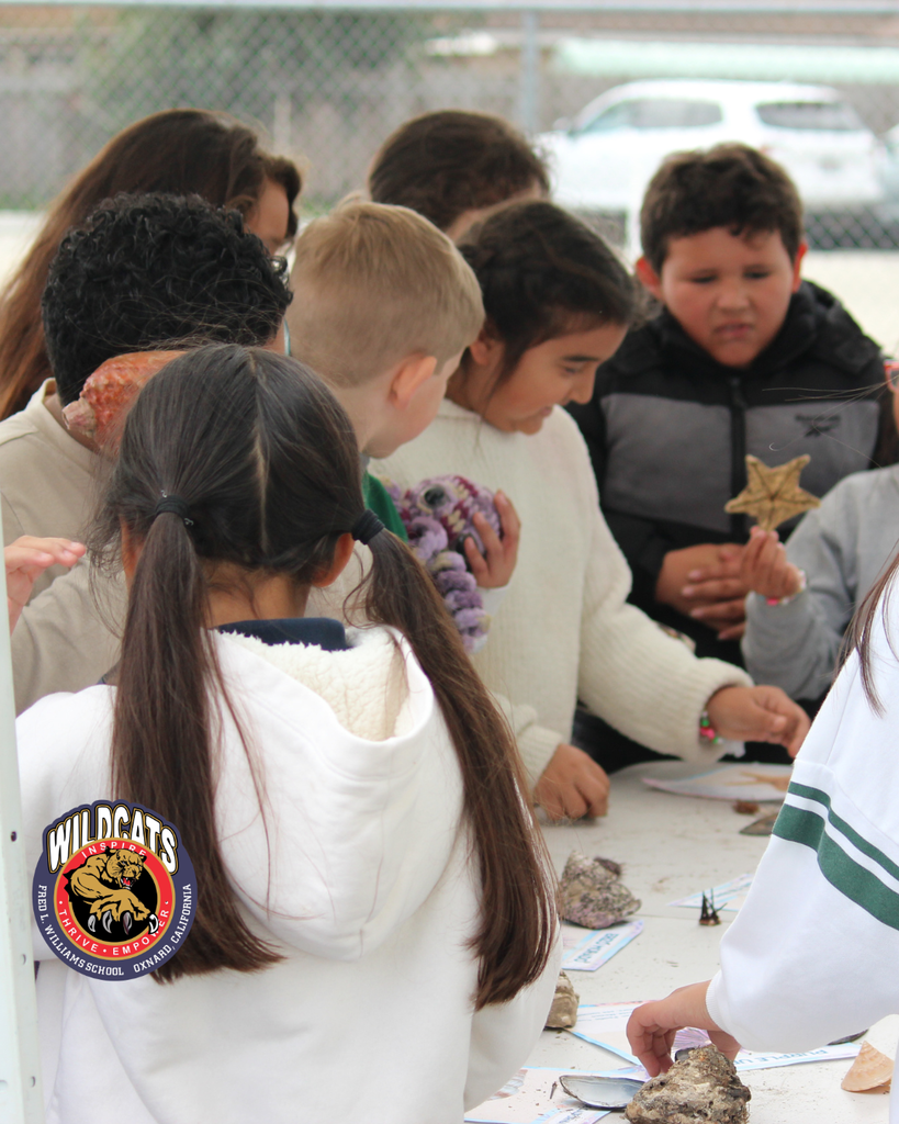 students touch and learn about shellfish for the reel guppy outdoor partnership