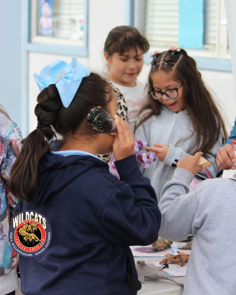 students touch and learn about shellfish for the reel guppy outdoor partnership