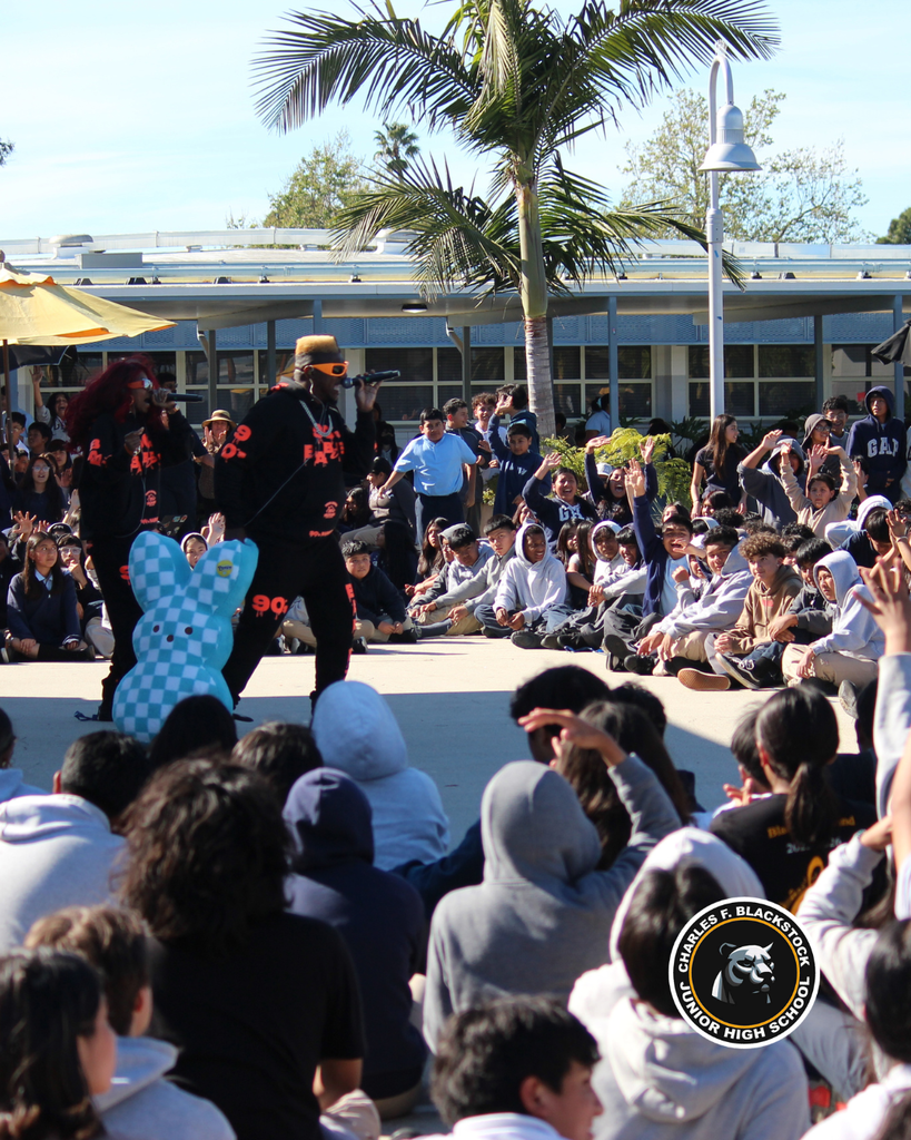 KNS Rockstar Assembly