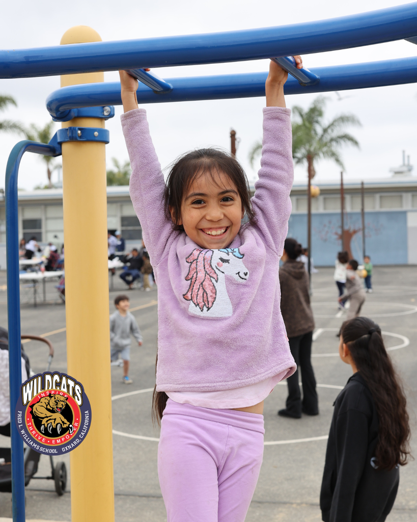 williams family picnic