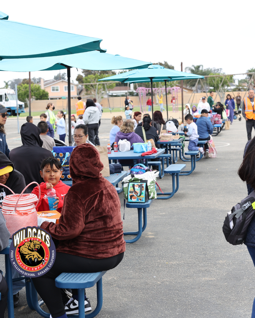 williams family picnic